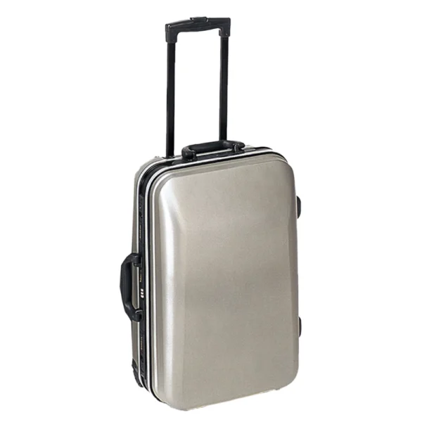 Small Designer Luggage Suitcase